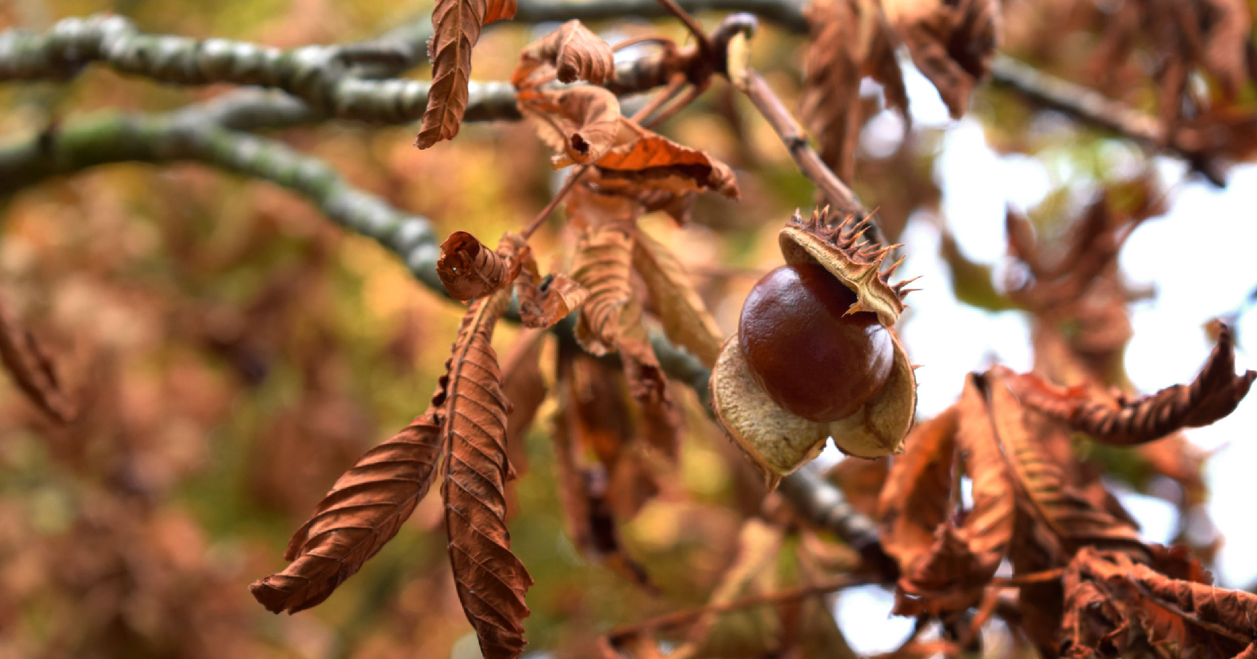 ias_0914-Blog_BlogImage 3