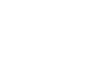 team second logo white